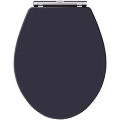 Household Goods Shop -Household Goods Shop hudson reed richmond 480mm height back to wall toilet pan twilight blue seat p33277 162157 image