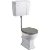 Hudson Reed Richmond 480mm Height Low Level Toilet & Storm Grey Seat