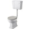 Hudson Reed Richmond 480mm Height Low Level Toilet & Timeless Sand Seat