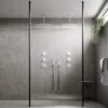 Hudson Reed Walk Through 1100mm Wetroom Shower Screen & Ceiling Poles GPCP11