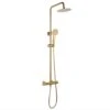 Niagara Equate Brushed Brass Modern Wall Mounted Round Thermostatic Shower Set 9301BRS