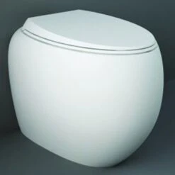 RAK Cloud White Rimless Back To Wall Toilet & Urea Soft Close Seat- CLOBTWPAN/SC